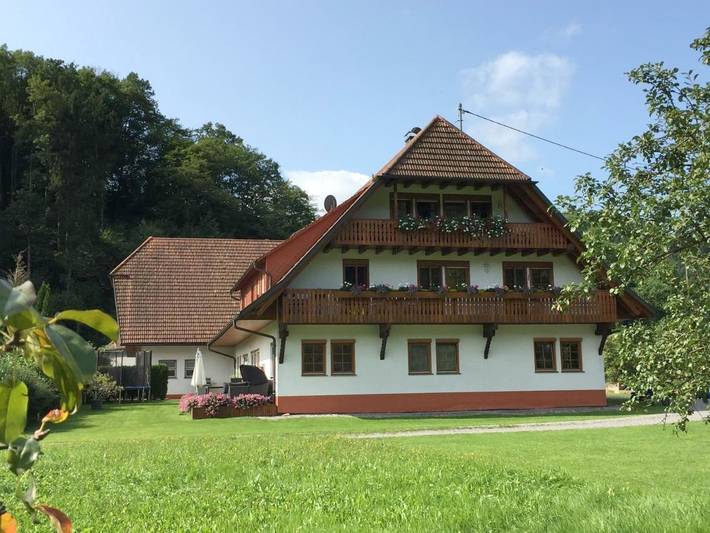 Ferienwohnung für 8 Personen, mit Balkon und Garten in Gutach (Schwarzwaldbahn)