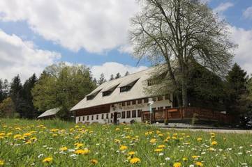 Ferienwohnung für 2 Personen, mit Garten und Terrasse sowie Sauna in Triberg