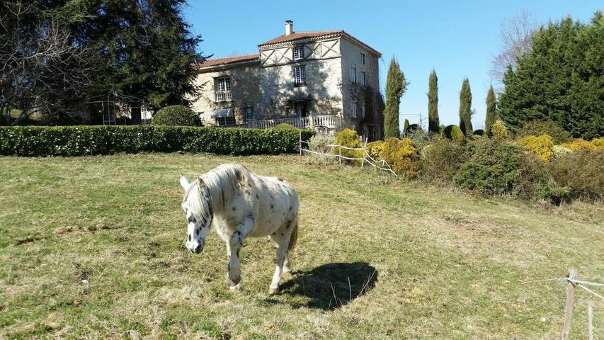 Chambre d’hôte pour 4 personnes, avec jardin et piscine à Saint-Girons (Ariège) - 4