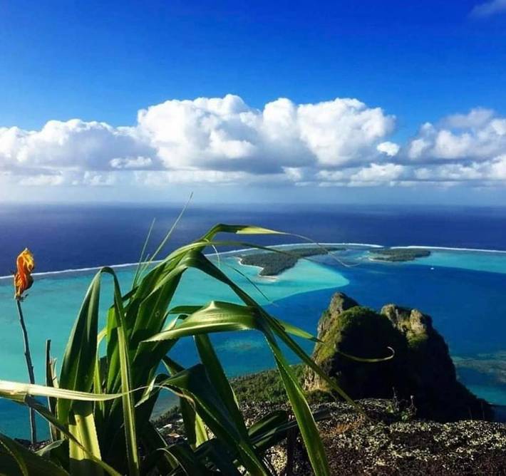 Location de vacances pour 6 personnes, avec terrasse dans Maupiti - 4