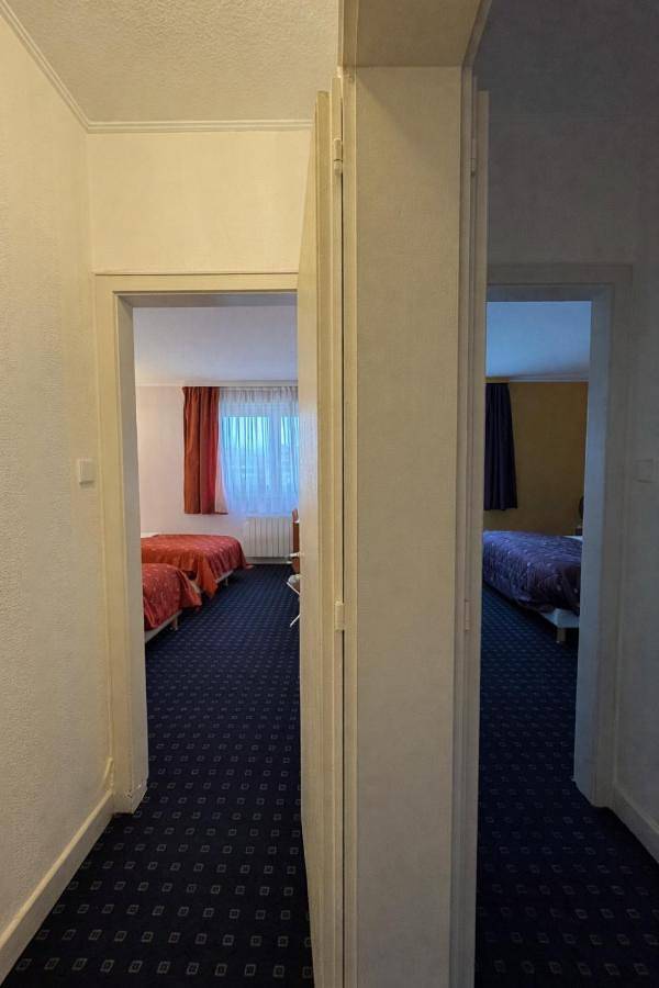 Hôtel pour 4 personnes, avec jardin et terrasse, animaux acceptés à Wettolsheim