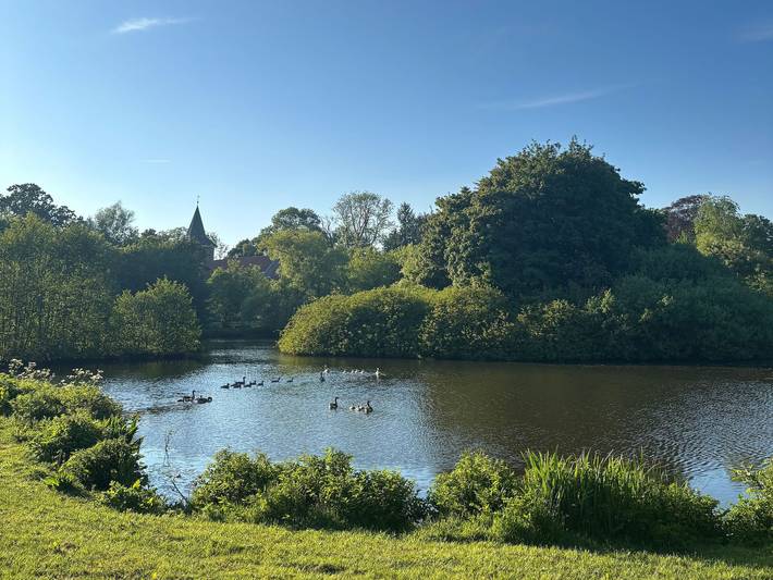 Ferienwohnung für 4 Personen, kinderfreundlich in Timmeler Meer - 2