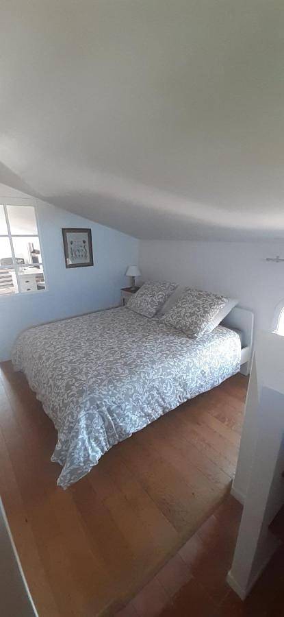 Gîte pour 4 personnes, avec jardin et terrasse à Quint-Fonsegrives - 3