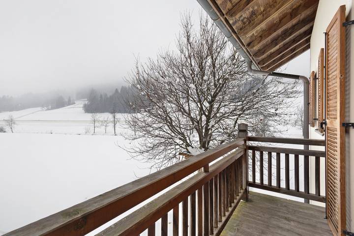 Ganze Wohnung, Ferienwohnung 'Sommer' mit Bergblick, Gemeinschaftsgarten und Wi-Fi in Villgratner Berge, Gsies