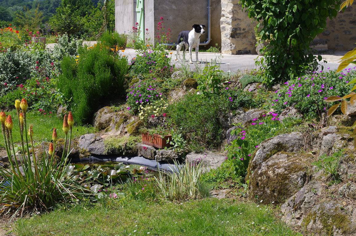 Gite des 2 Pat' proche Puy du Fou in Pouzauges, Fontenay-le-Comte