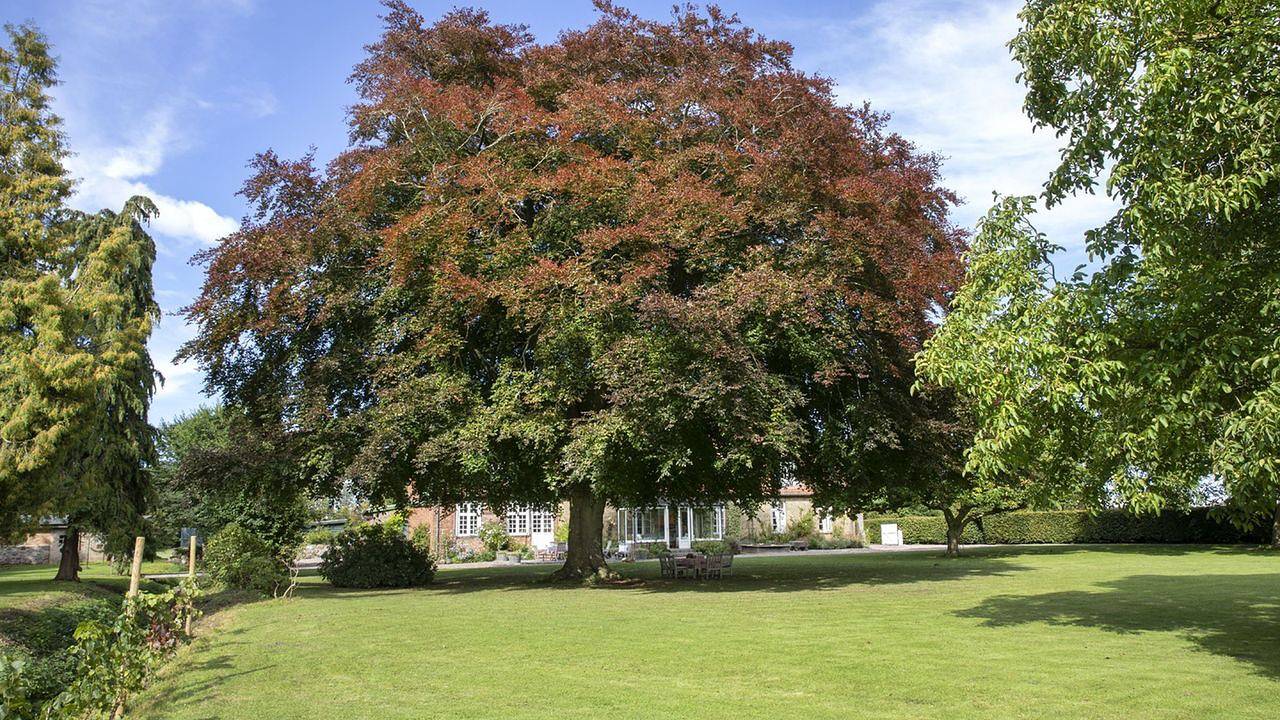 Ferienhaus für 14 Personen (400 m²) in Manhagen in Manhagen, Ostholstein