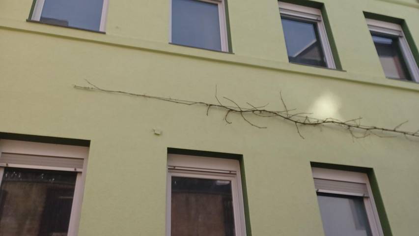 Ferienhaus für 8 Personen, mit Terrasse in Zell (Mosel) - 3