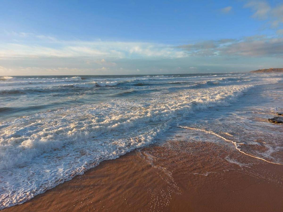 Exclusieve Villa met zeezicht en privézwembad in Atalaia in Atalaia, Distrito de Lisboa