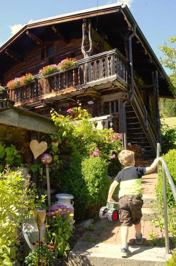 Bauernhaus für 4 Personen in Ramsau am Dachstein, Schladming-Dachstein, Bild 3