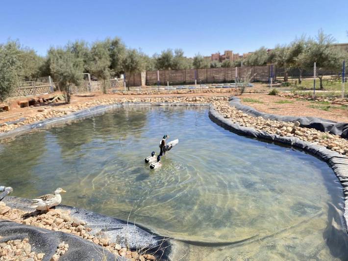 Hôtel pour 3 personnes, avec vue et piscine ainsi que jardin et terrasse
