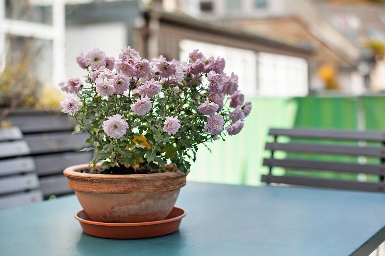 Geheel appartement, Appartement 'Nr 5 Haus Stiegeler Schloßberg' met privé terras en Wi-Fi in Freiburg, Zuidelijk Zwarte Woud