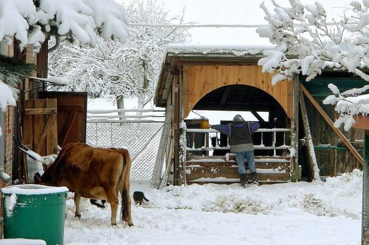 Ferienwohnung für 4 Personen, mit Garten in Boitzenburger Land - 4