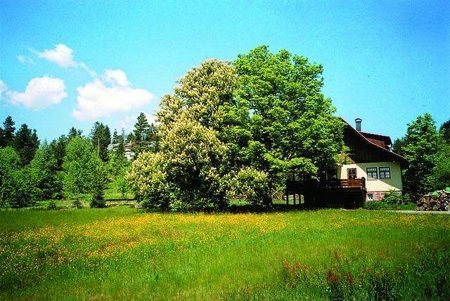 Gîte pour 4 personnes, avec jardin, adapté aux familles à Freudenstadt - 2