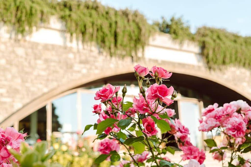 Merumalia Wine Resort in Frascati, Castelli Romani