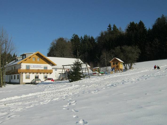 Ferienwohnung für 10 Personen, mit Balkon und Balkon/Terrasse sowie Terrasse und Garten in Waldmünchen - 4