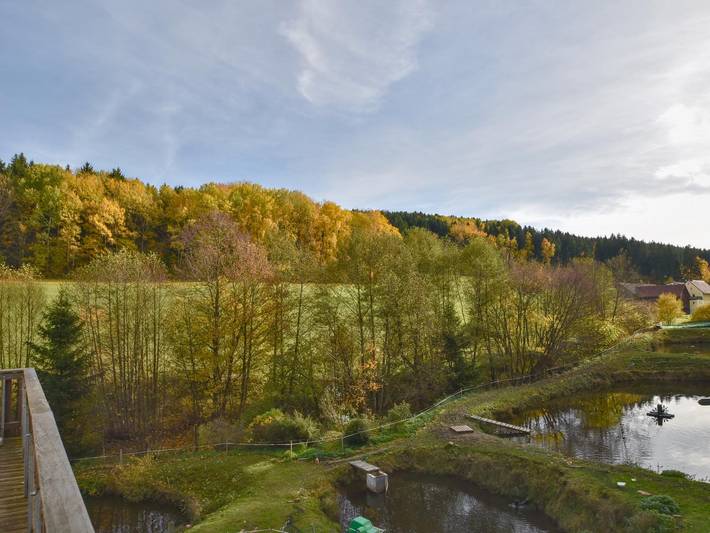Ferienwohnung für 6 Personen, mit Garten in Naturpark Oberpfälzer Wald - 3