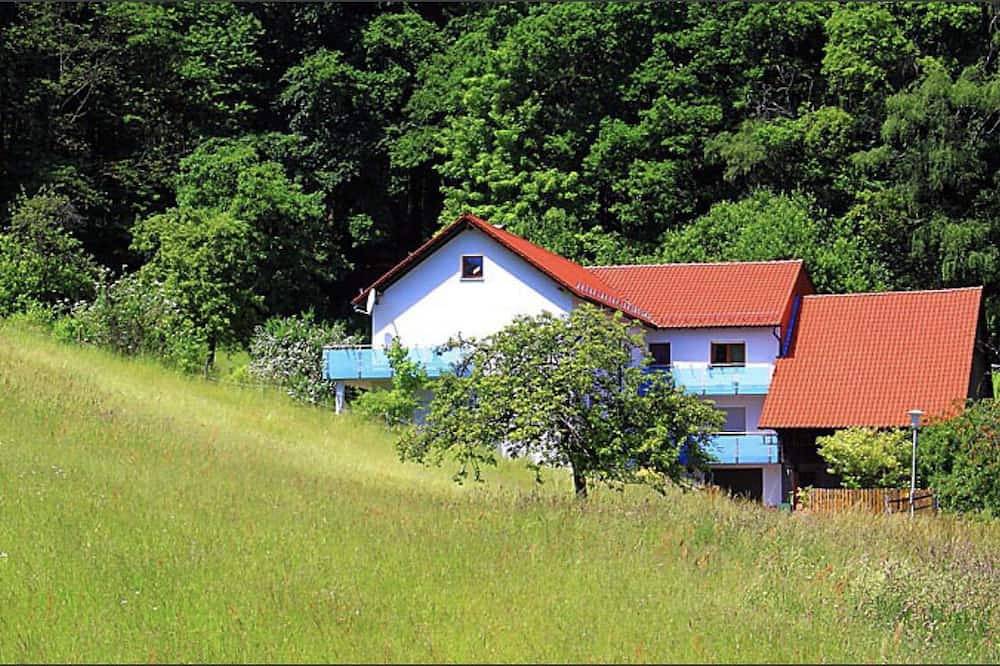 Ganze Wohnung, Einzimmerappartement mit Miniküche und Balkon in Wald-Michelbach, Bergstraße
