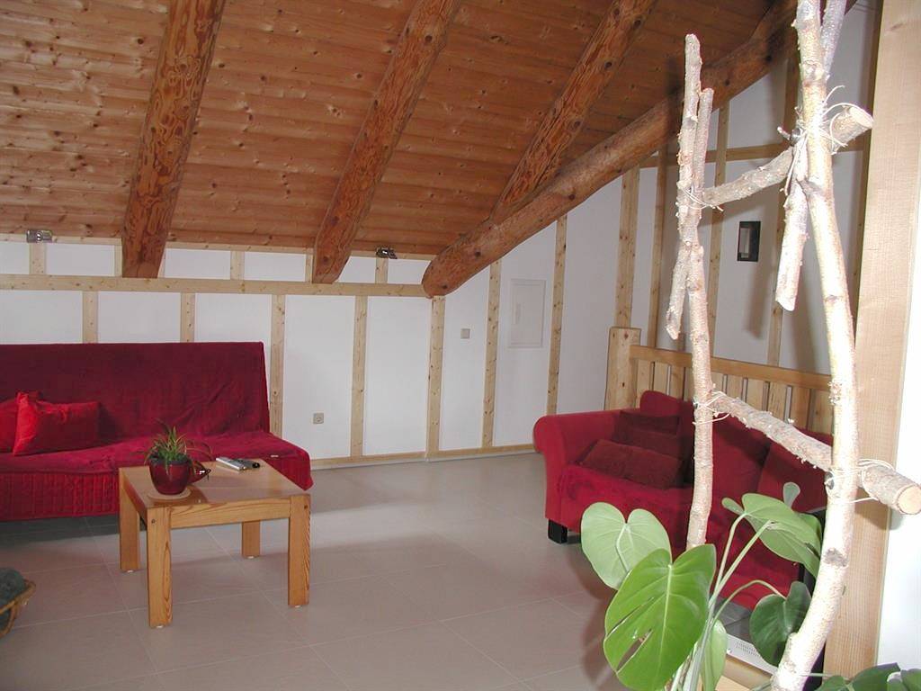 Geheel vakantieappartement, Appartement, toilet en bad/douche gescheiden, geschikt voor rolstoelen in Deuselbach, Bernkastel-Kues en Omgeving