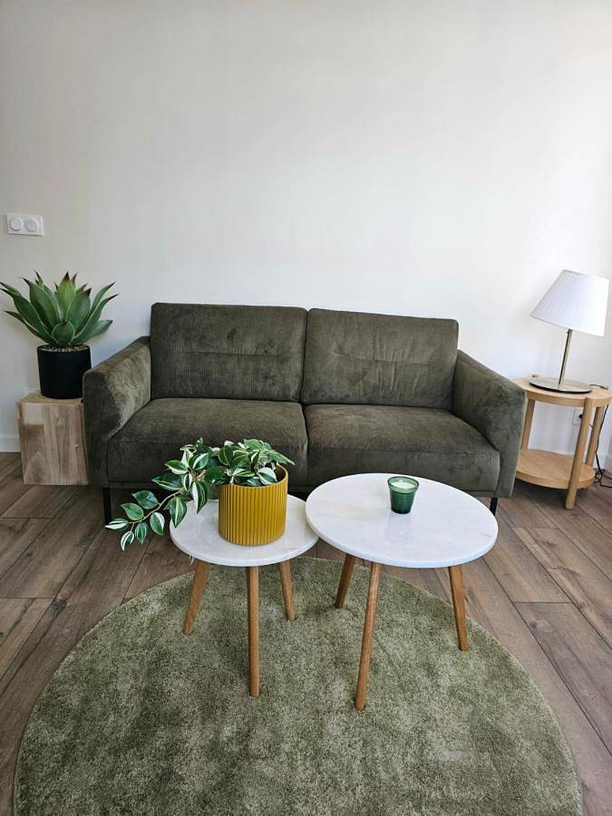 Appartement entier, Kings View in Roche-la-Molière, Loire