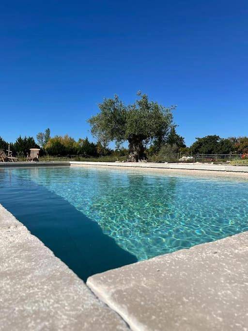 Maison de vacances pour 9 personnes, avec Terrasse ainsi que Jardin et Piscine