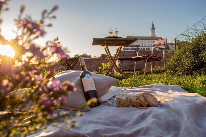 Dom gościnny dla 3 osób, z taras i ogród, zwierzęta dozwolone w Mikulov