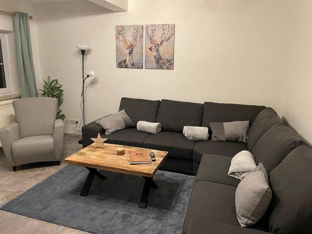 Ganze Ferienwohnung, Appartement Hollenstein mit Dachstudio – auf 2 Etagen in Eimelrod, Willingen