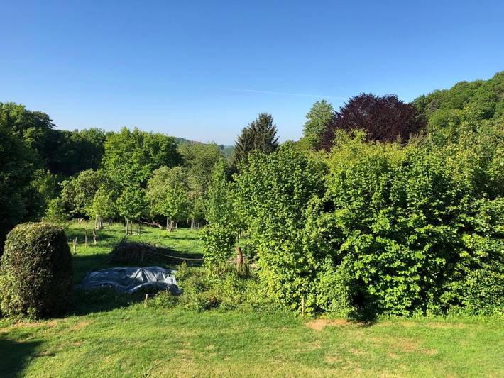 Gîte pour 6 personnes, avec Terrasse ainsi que Jardin et Vue à Overath - 3