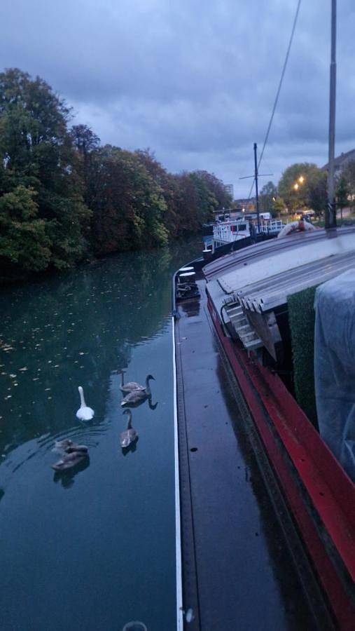 Chambre d’hôte pour 3 personnes, avec terrasse et vue à Châlons-en-Champagne - 3