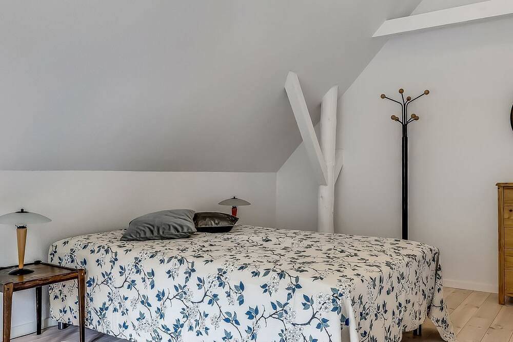 \"Constance\" - 23km from the sea in Ribe, Wadden Sea National Park