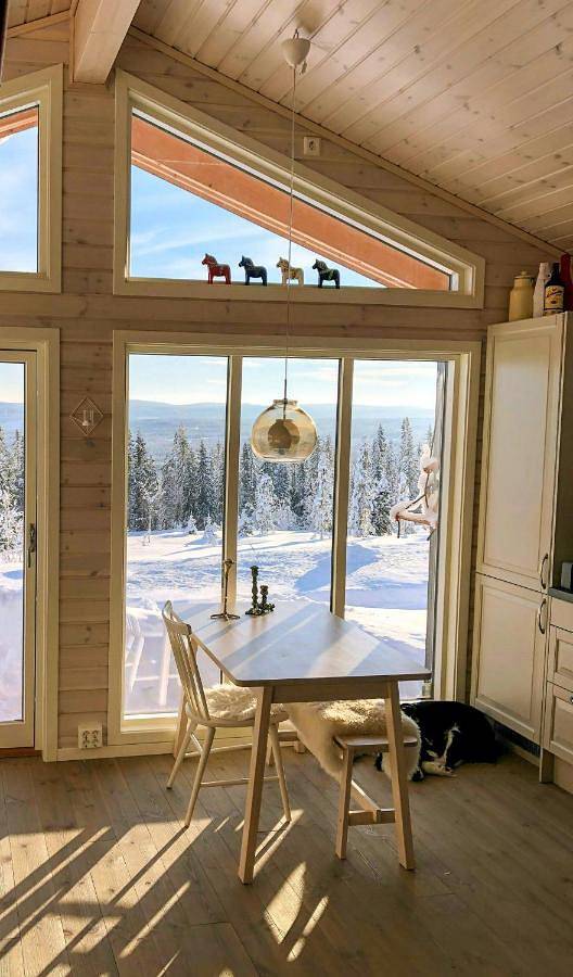 Ferienhaus für 5 Personen, mit Terrasse, mit Haustier - 1
