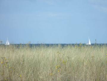 Ferienwohnung für 4 Personen in Warnemünde Strand, Warnemünde, Bild 3