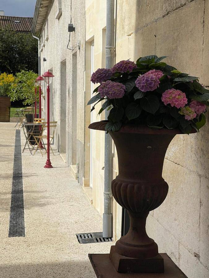 Gîte pour 2 personnes, animaux acceptés à Cognac - 3