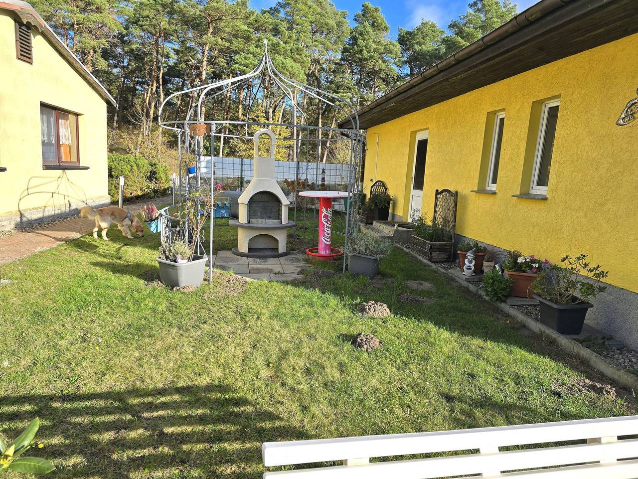 Ganze Ferienwohnung, Bungalow  Wiesenperle - Bungalow in Trassenheide, Usedomer Norden