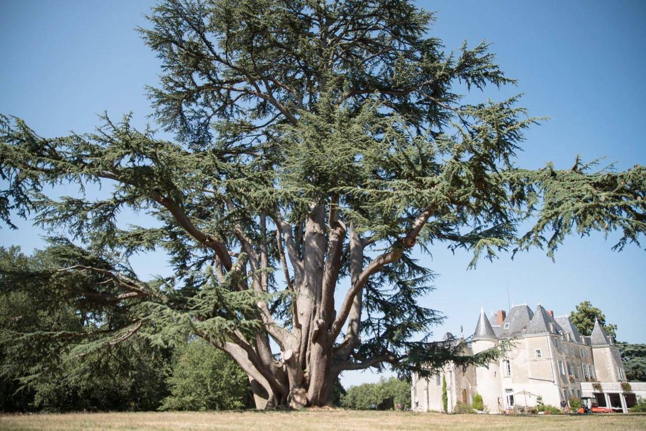 Château de Piolant in Dangé-Saint-Romain, Vienne (France)