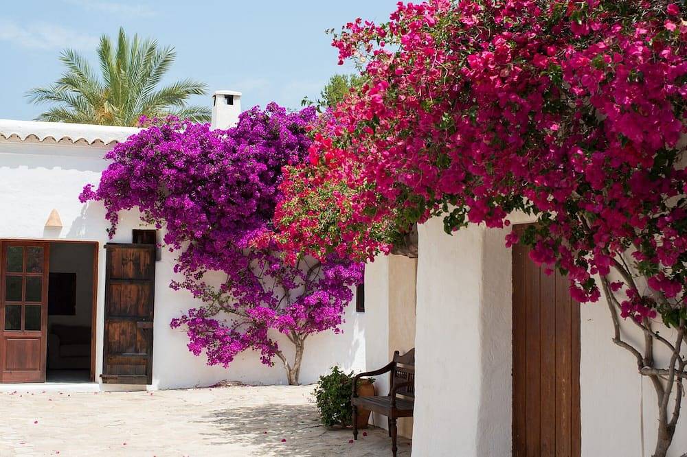 Stunning Ibiza Villa | 6 Bedrooms | Villa Santy | Gorgeous Sea & Mountain Views | Sant Joan in Cala Xuclar, Sant Joan de Labritja