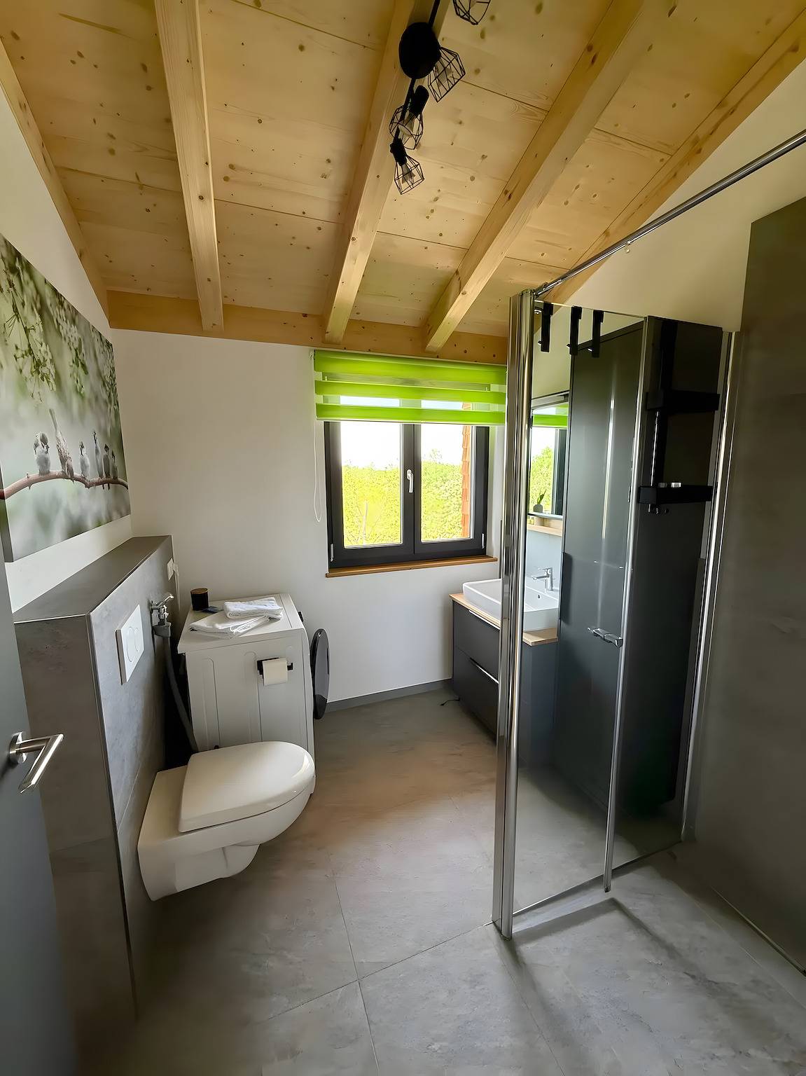 Ganze Wohnung, Ferienwohnung 'Spatzennest' mit Bergblick, Balkon und Wi-Fi in Dachsberg, Südschwarzwald