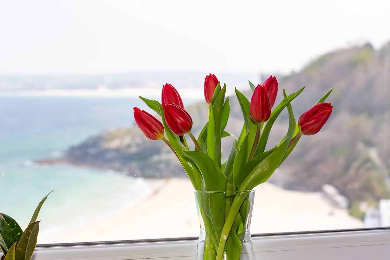 Entire apartment, 35 Carrack Widden in St. Ives, Cornwall