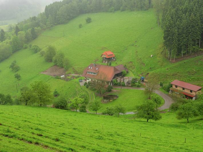 Bauernhof für 4 Personen, mit Balkon und Garten in Mittlerer Schwarzwald - 4