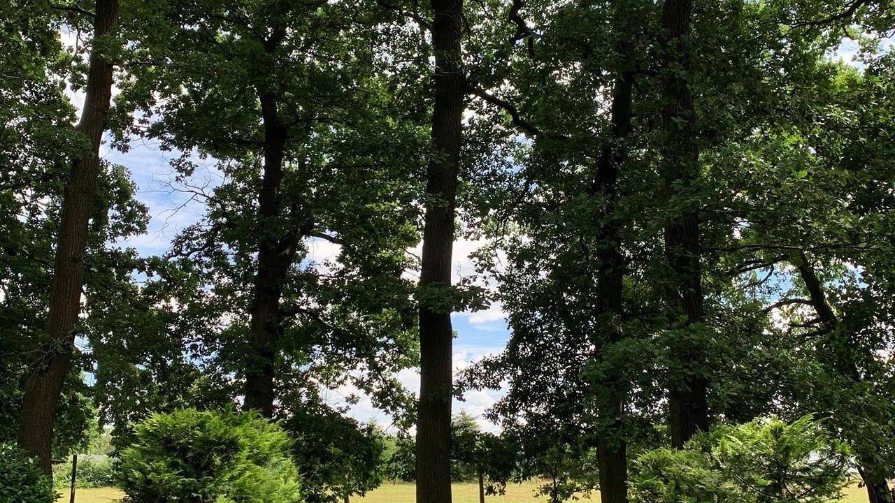 Geheel vakantieappartement, Vakantieappartement voor 4 personen met tuin in Neuenkirchen (Lüneburger Heide), Landkreis Heidekreis