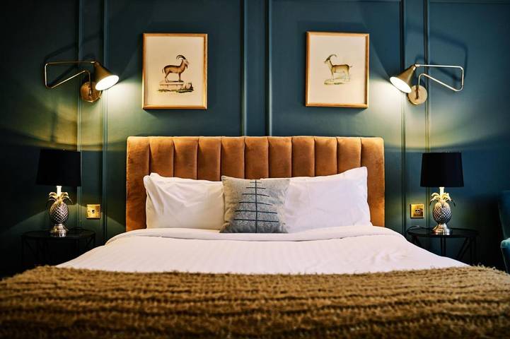 Hotel für 1 Personen, mit Haustier - 1