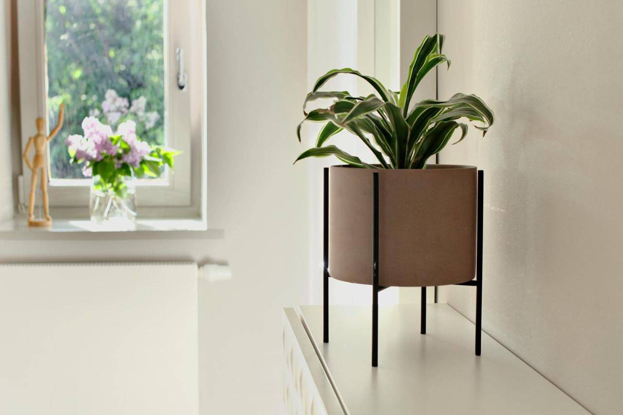 Geheel appartement, Elbblick in Hamburg-Blankenese, Hamburg