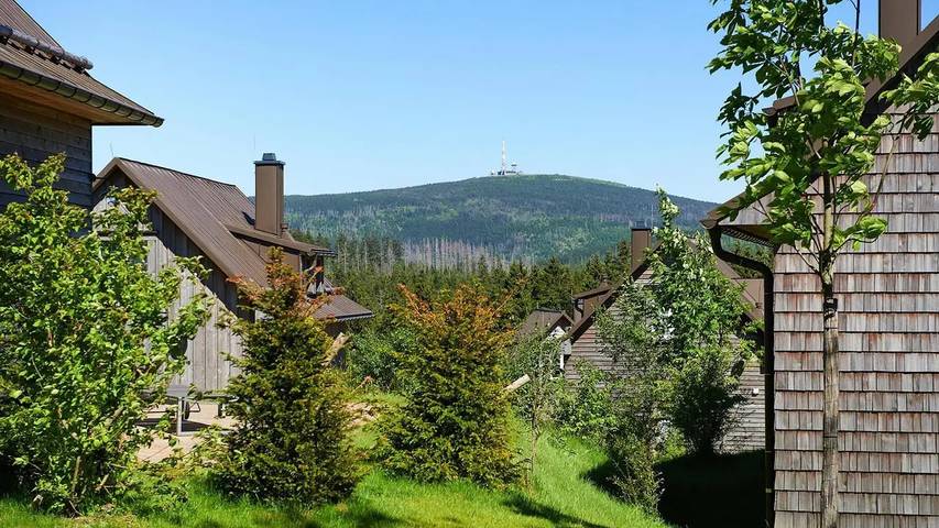 Ferienhaus für 5 Personen, mit Sauna und Garten in Altenau - 4