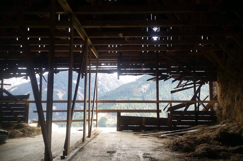 Ganze Wohnung, Wohlfühl-Angererhof: Nähe Drei Zinnen - Appartement Monte Cristallo (2P) - Aktiv in Kartitsch, Karnischer Hauptkamm