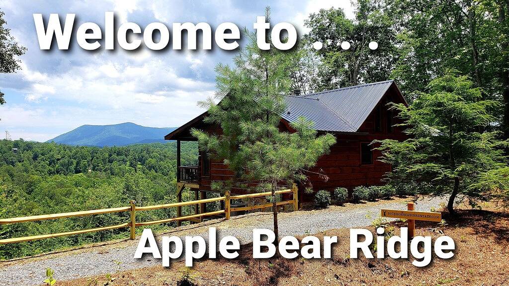 Budget freundlich! Hundefreundlich! 2 Lux Könige, 2 Ba. Blockhaus ! Atemberaubender Ausblick! in Cherry Log, Chattahoochee National Forest