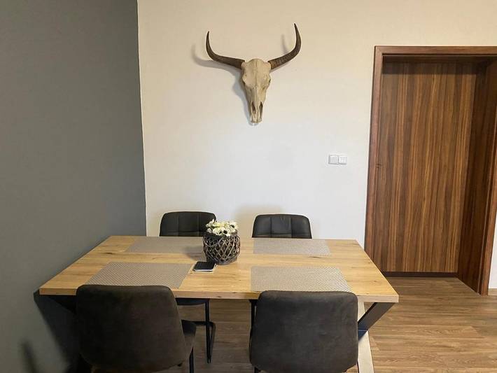 Gîte pour 4 personnes, avec vue et jardin à Plzeň - 3