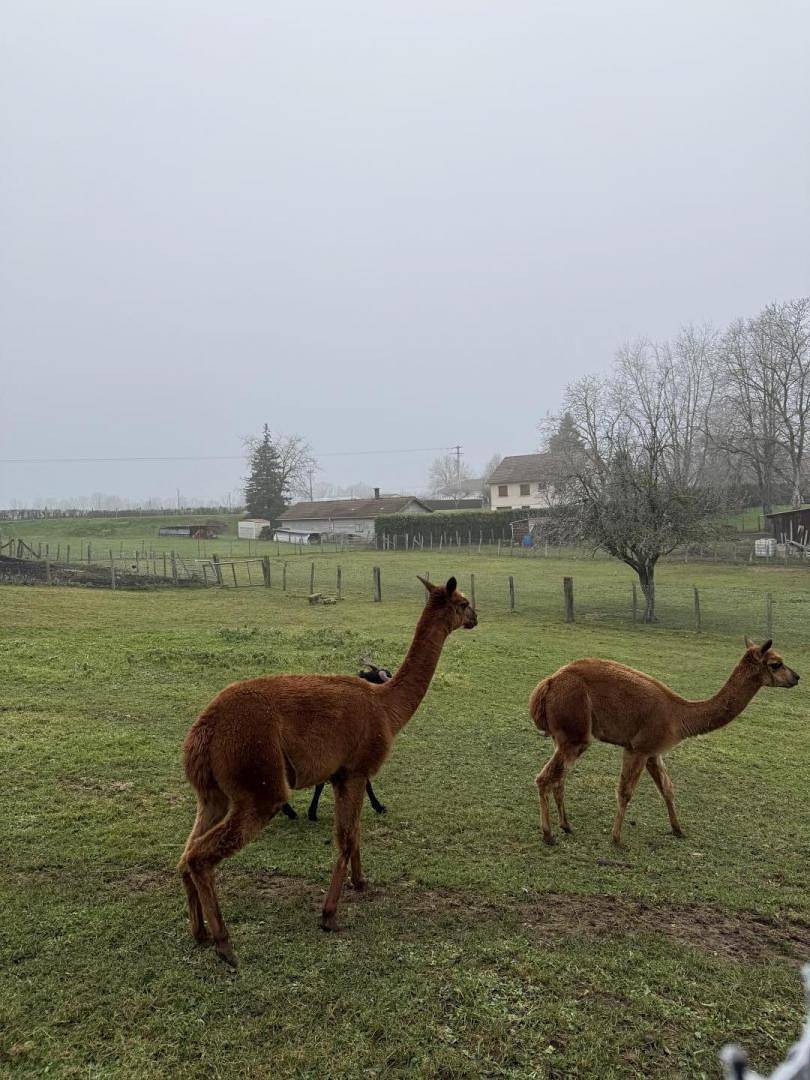 La Ferme des Rampes in Saint-Germain-du-Bois, Louhans region