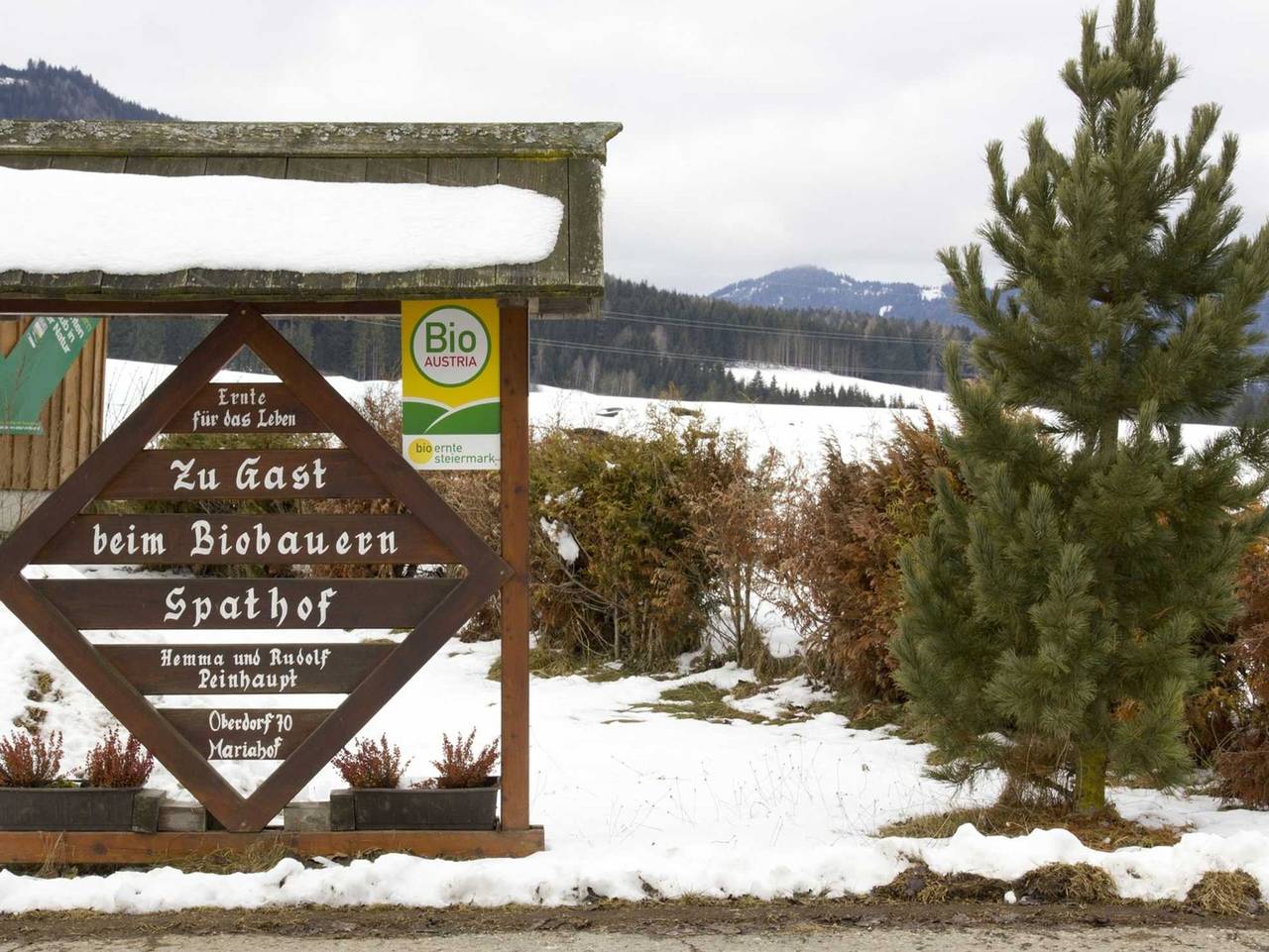 Ganze Wohnung, Zu Gast beim Biobauern Spathof - Ferienwohnung 2 in Mariahof, Westliche Obersteiermark