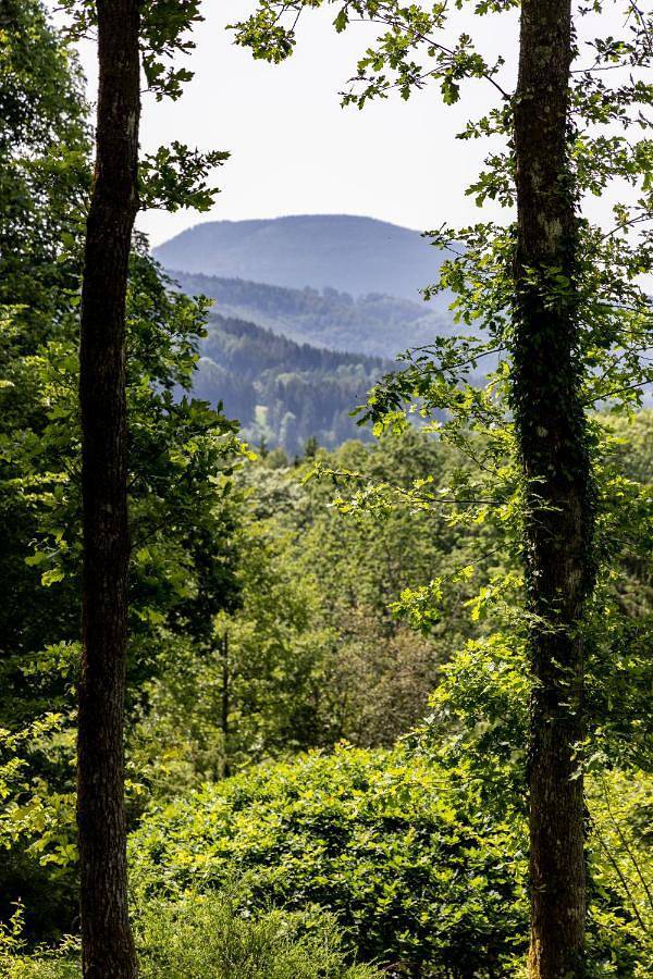 Gîte pour 3 personnes, avec jardin ainsi que vue et terrasse à Plaine (Bas-Rhin)