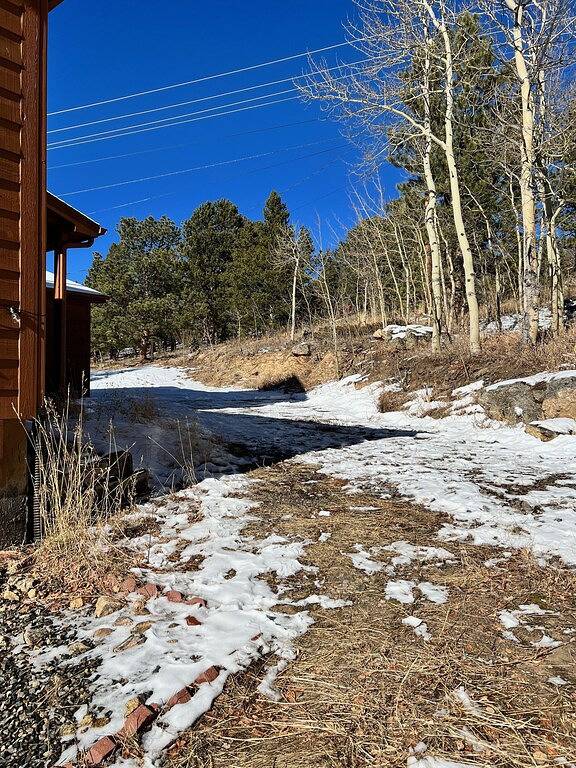 Ganze Wohnung, Private, Cozy, and Remote Mountain Apartment in Walk-out Garden Level w/Patio. in Arapaho and Roosevelt National Forests