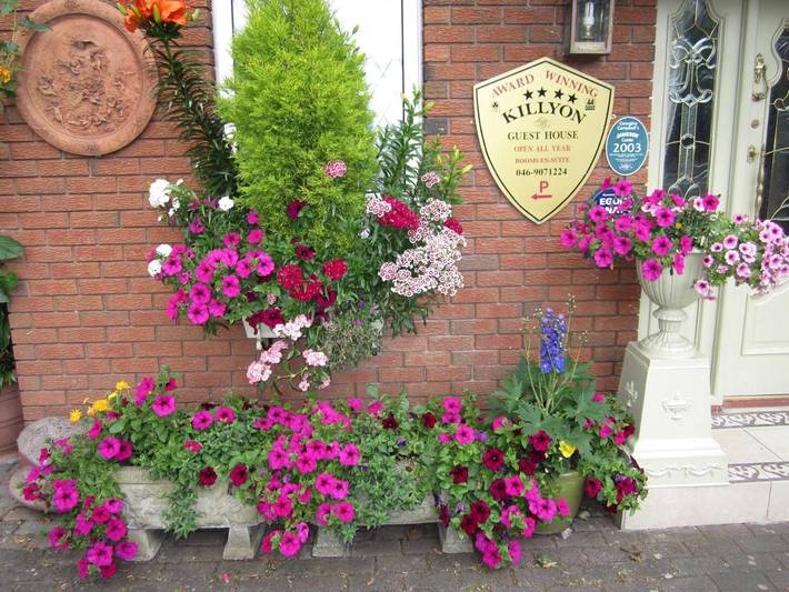 Bed and breakfast for 2 people, with Balcony and Terrace as well as Garden and View in Navan